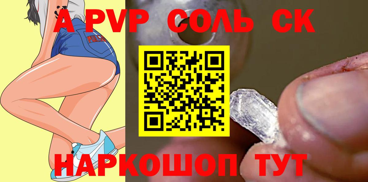 A PVP СК КРИС Архангельск